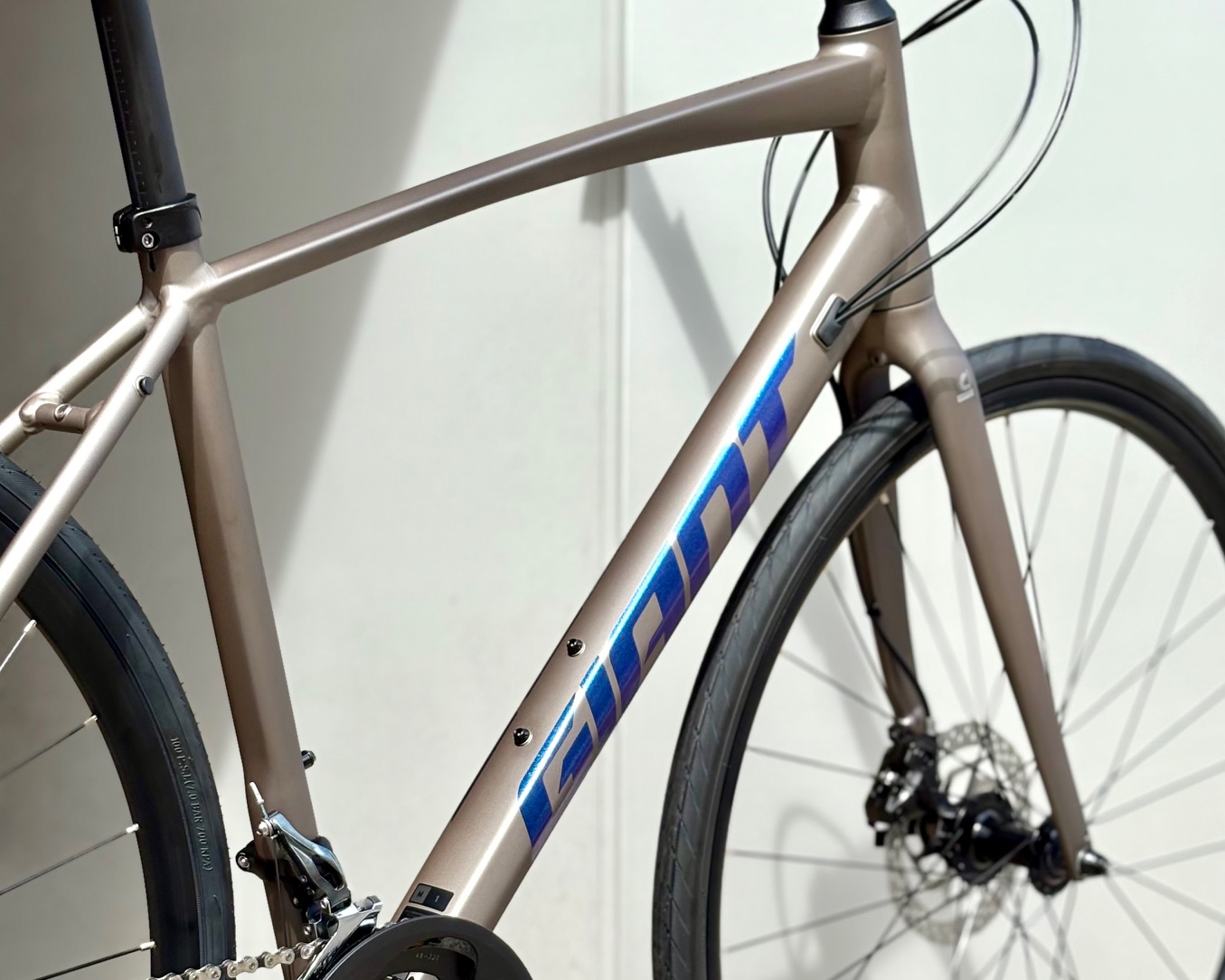 魅力的な2色のEscape RX 1をご紹介！ ｜ ジャイアントストア神戸