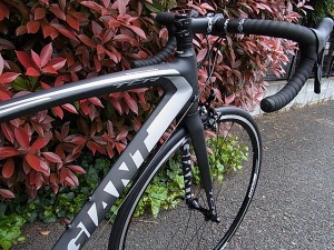 新色！TCR COMPOSITE2入荷の巻 ｜ ジャイアントストア国立