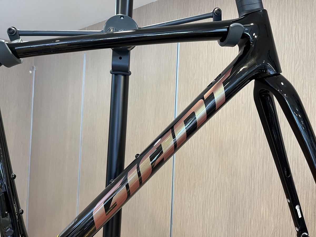 2024年モデル PROPELとTCRのフレームセットが入荷しました