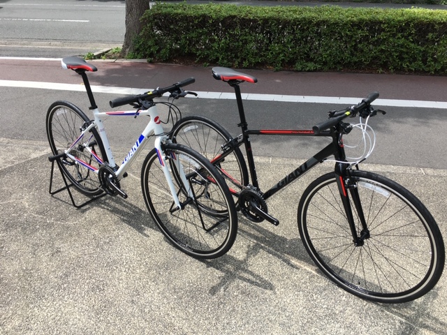 2020年モデルクロスター。新登場！ ｜ ジャイアントストア京都紫明通