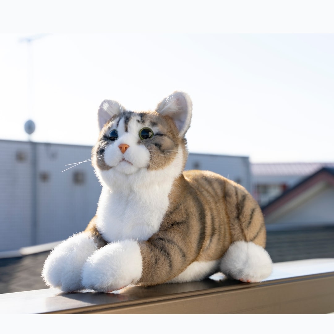 なでなでねこちゃんEXキジトラ | Giftpad egift