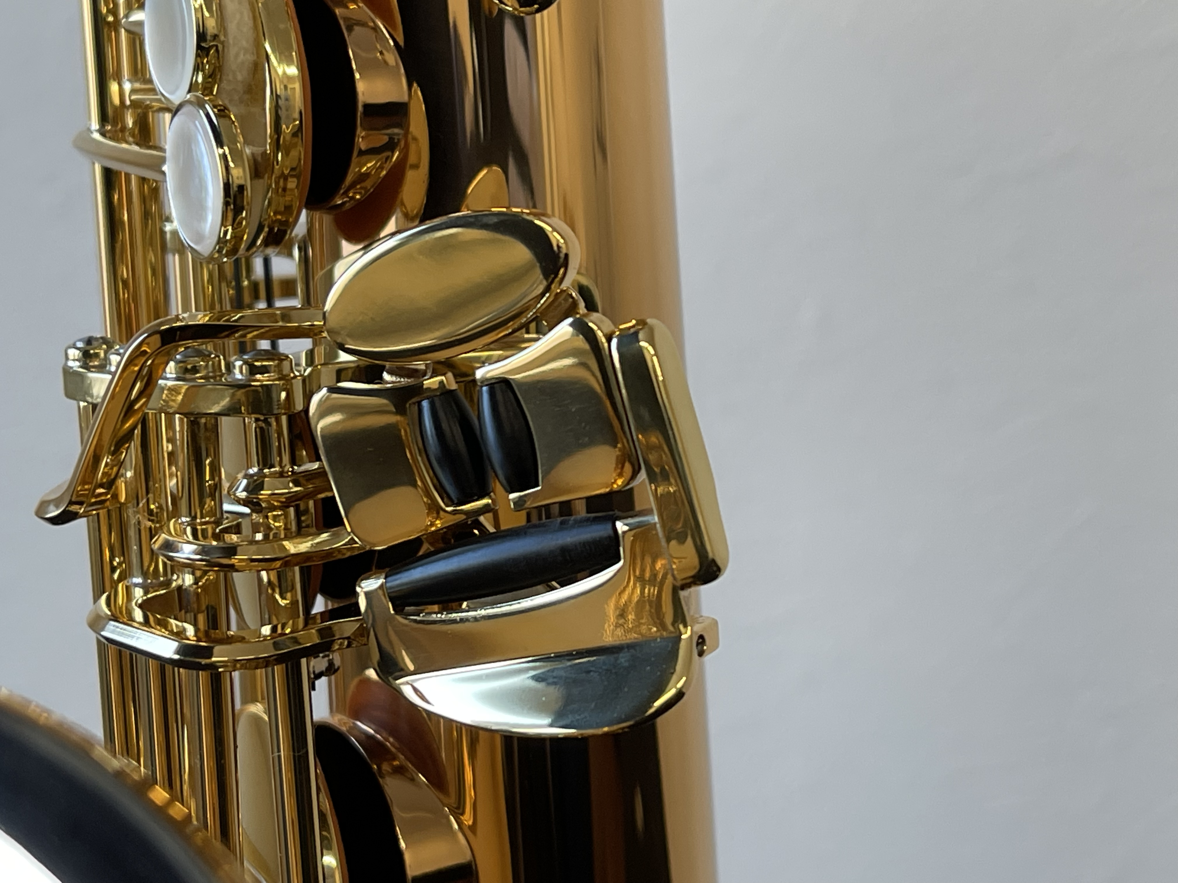 ヤナギサワ テナーサックス T-WO2 | 管楽器【新品】 | WINDS-Kawagoe