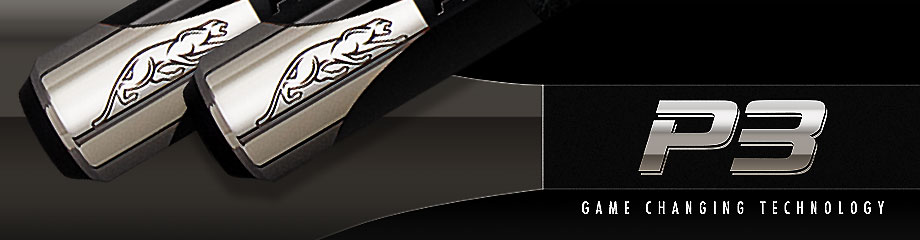 プレイキュー プレデター・Predator P3 シリーズ商品一覧｜ビリヤード