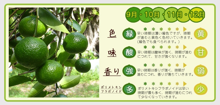 花良治(けらじ)みかん［訳あり(加工用)］＜ダンボール箱入り＞【1.3