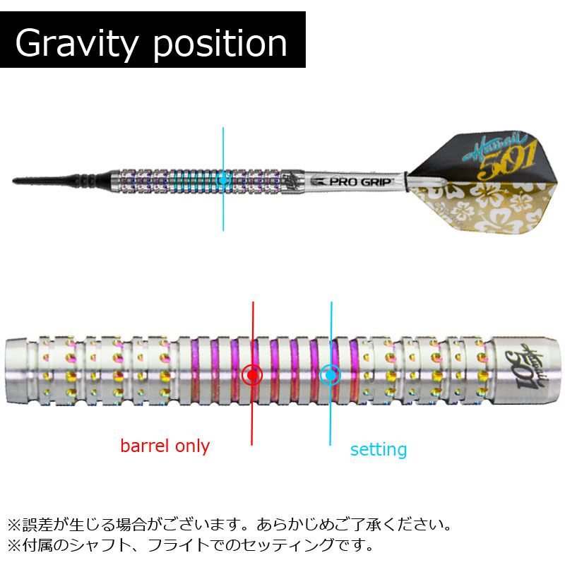 Target】ターゲットダーツ WAYNE MARDELウェイン・マーデルモデル