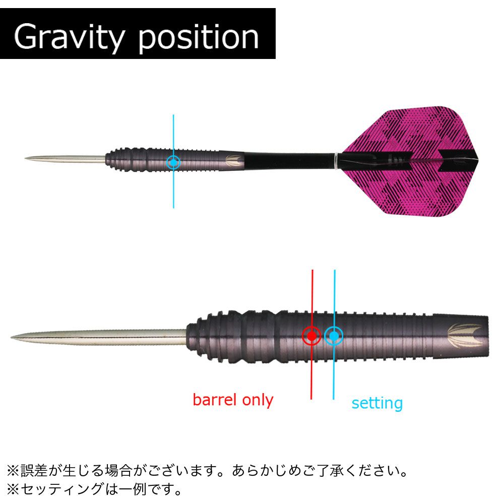 Target】ロレイン・ウィンスタンリー STEEL 22g ターゲット ハード