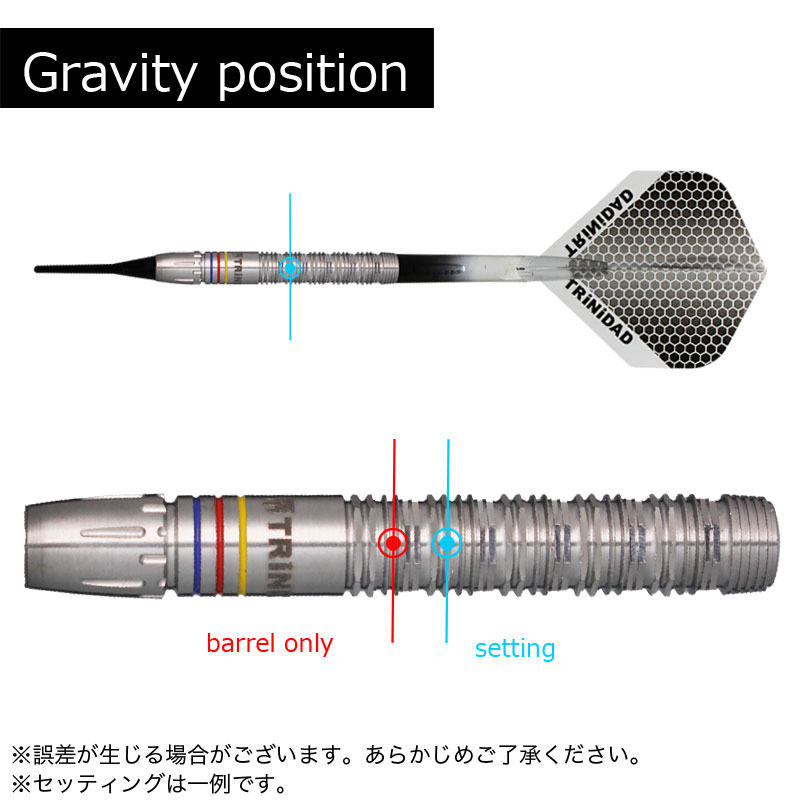 トリニダード レイモンド TRiNiDAD RAYMOND ダーツ バレル | ソフト