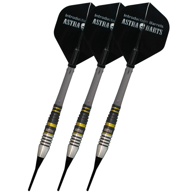 アストラダーツ ティーアロー5 谷内太郎 ASTRA DARTS T-arrow5 YACHI