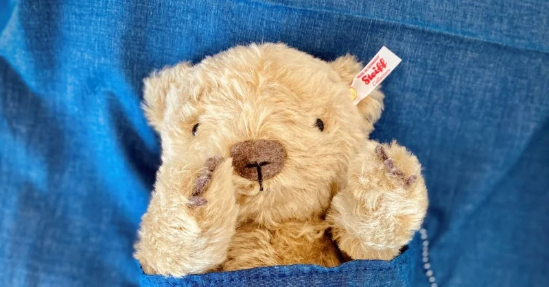 くまの子ウーフ×シュタイフ ぬいぐるみkodo-mall(こどもーる)／ポプラ