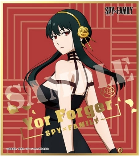 Yor Forger - Illustration Panel - SPY×FAMILY (ヨル・フォージャー