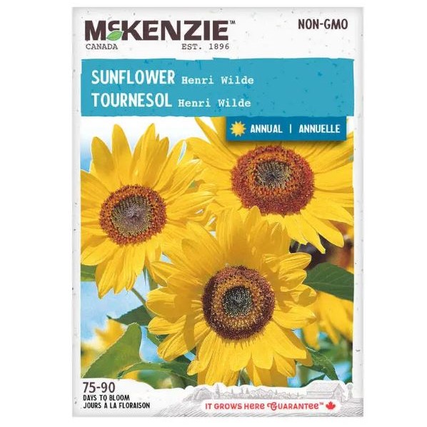 SUNFLOWER VELVET QUEEN – Golden Acre Home & Garden