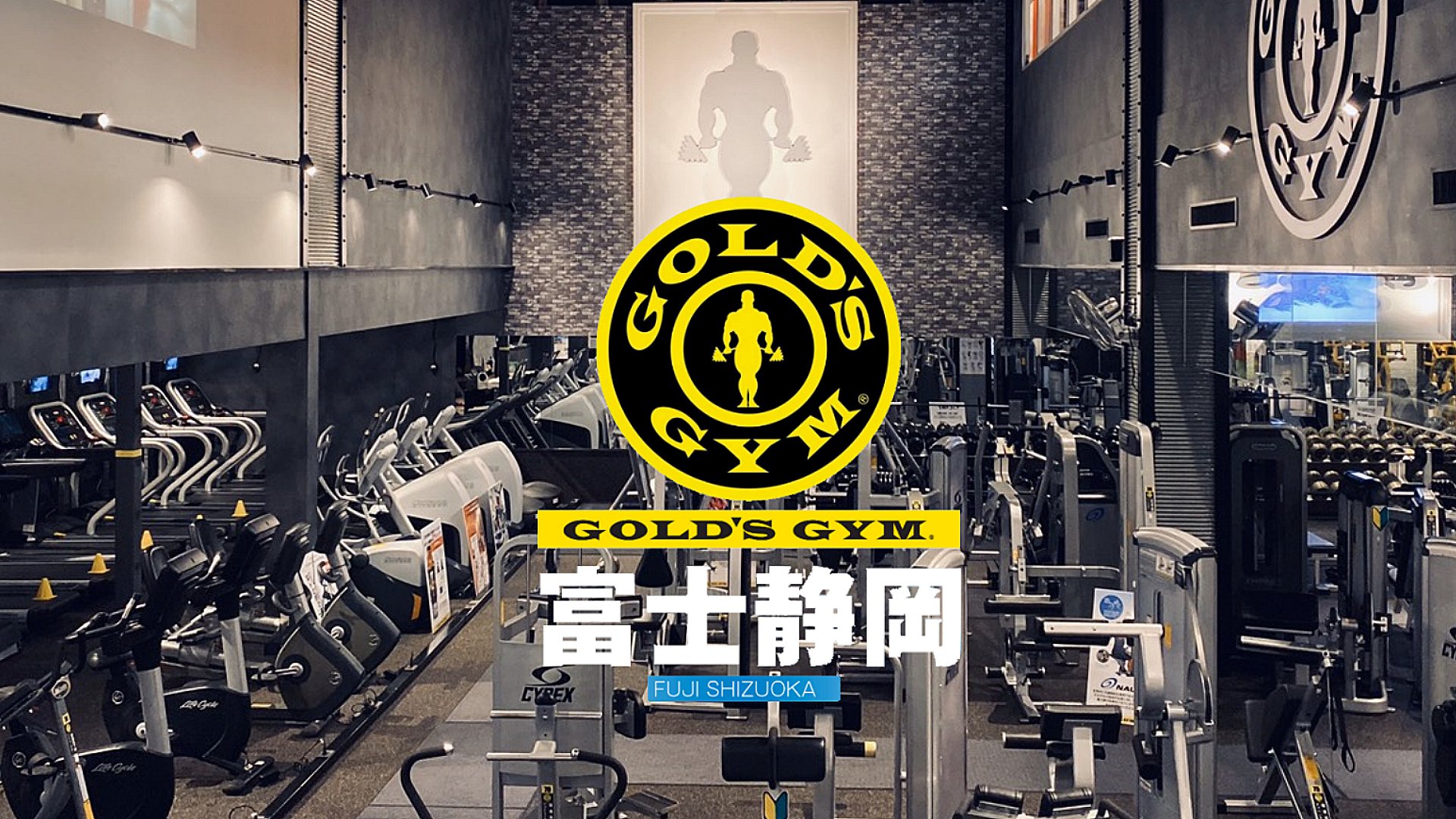 ゴールドジムとは What is Gold's Gym? – ゴールドジム富士静岡