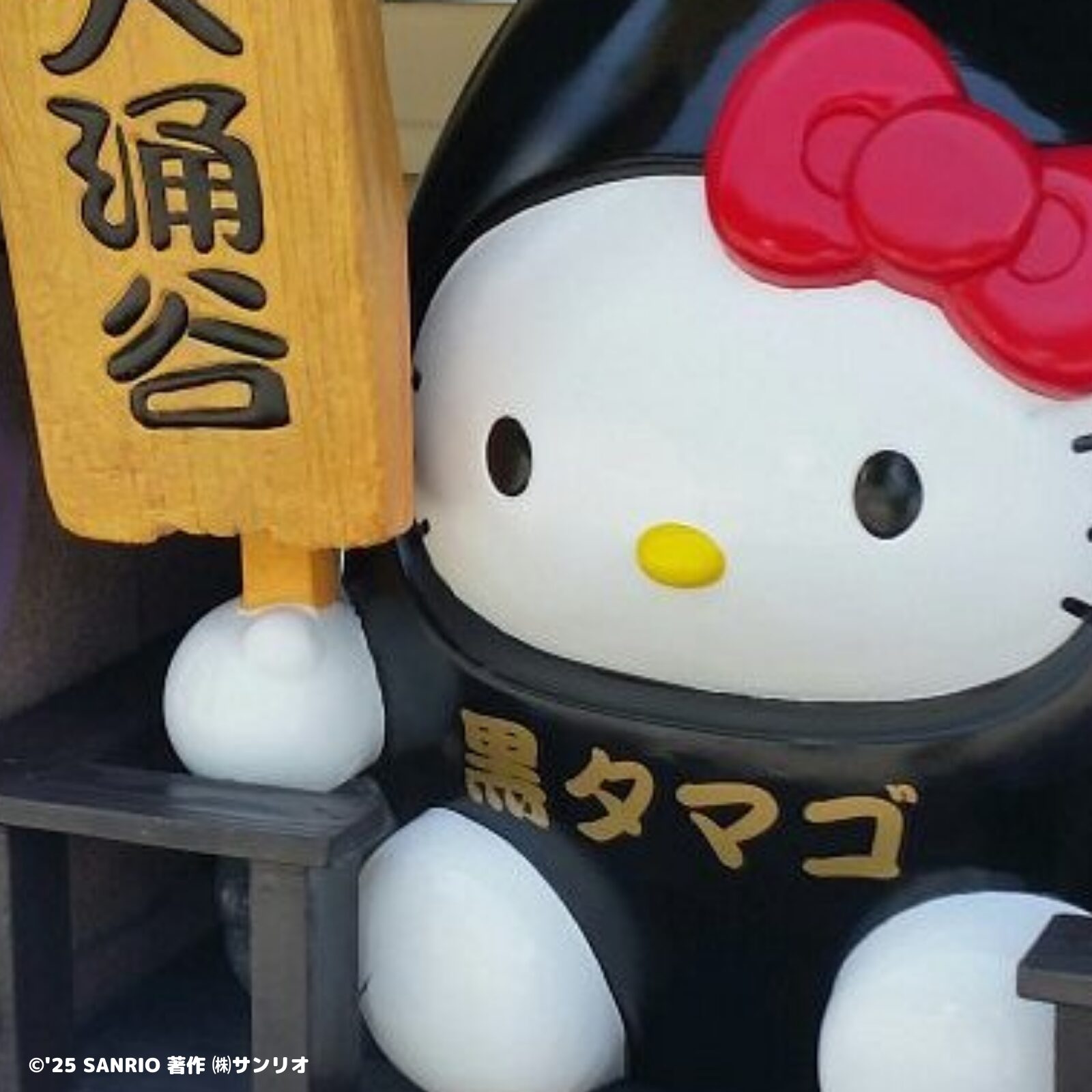 神奈川×箱根・大涌谷 | あすなろ舎