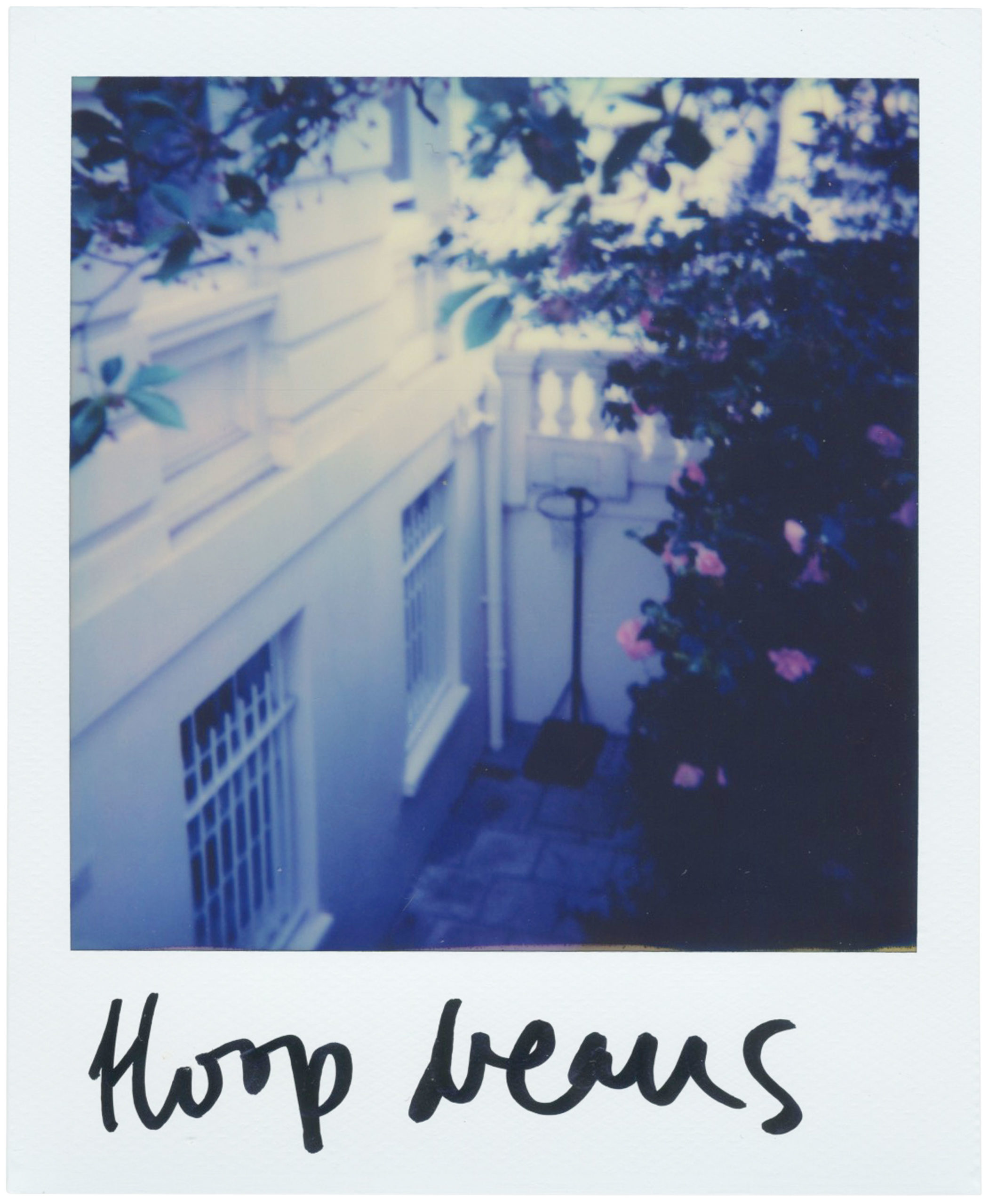 The Bigger Picture - Glorious Sport