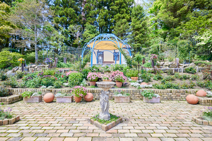 カーデンローズメイデン ガーデンローズメイデン【スーパー】{QCDB-JP035}《シンクロ》