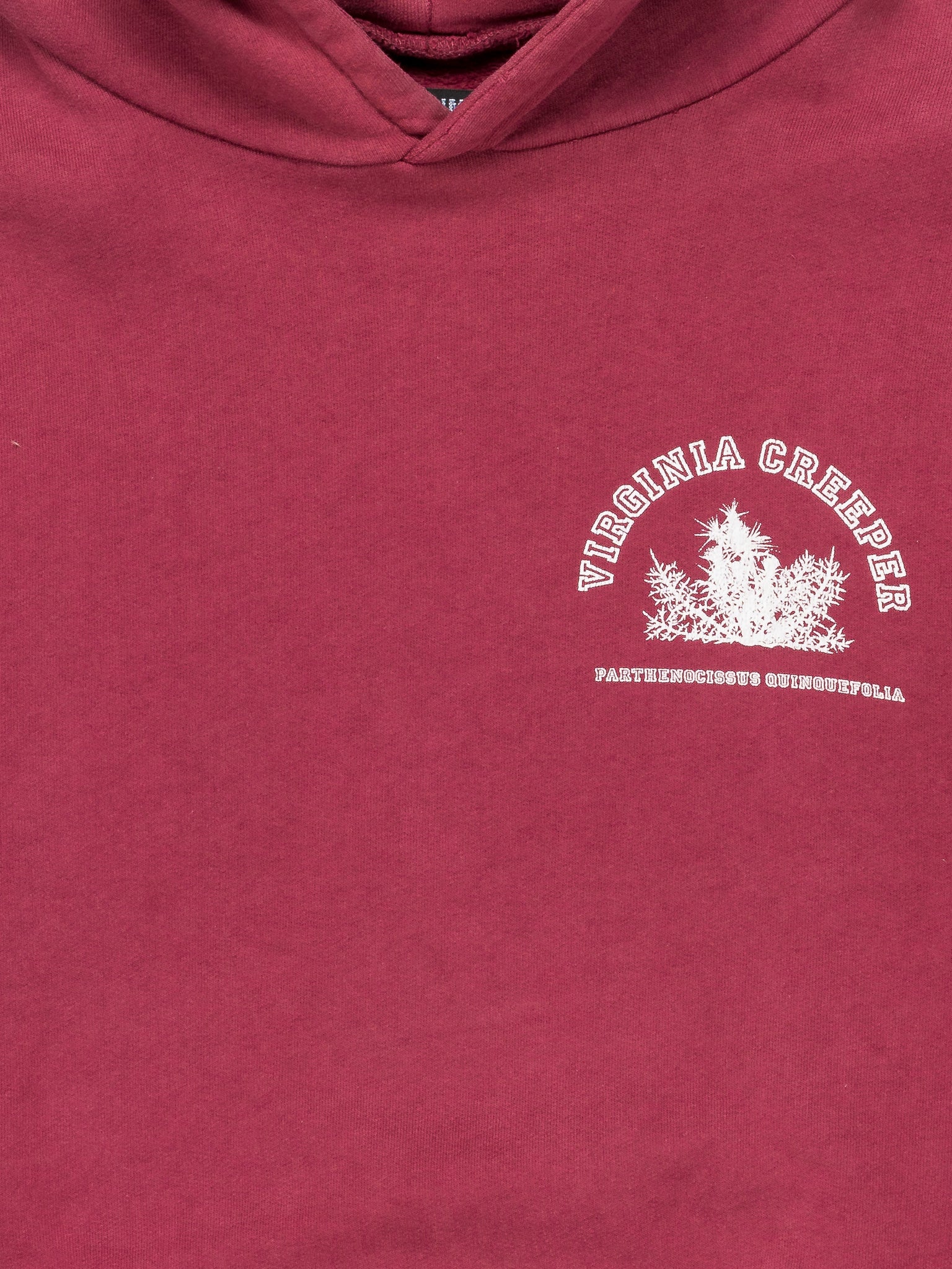 Buy Raf Simons 'Virginia Creeper' Hoodie Online at Groupie