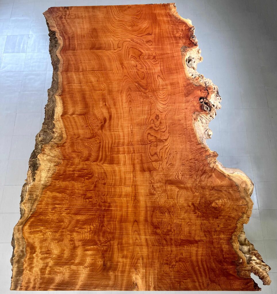 ケヤキ一枚板GX02 青島上之山神社の大欅 | GRAXEN JAPAN