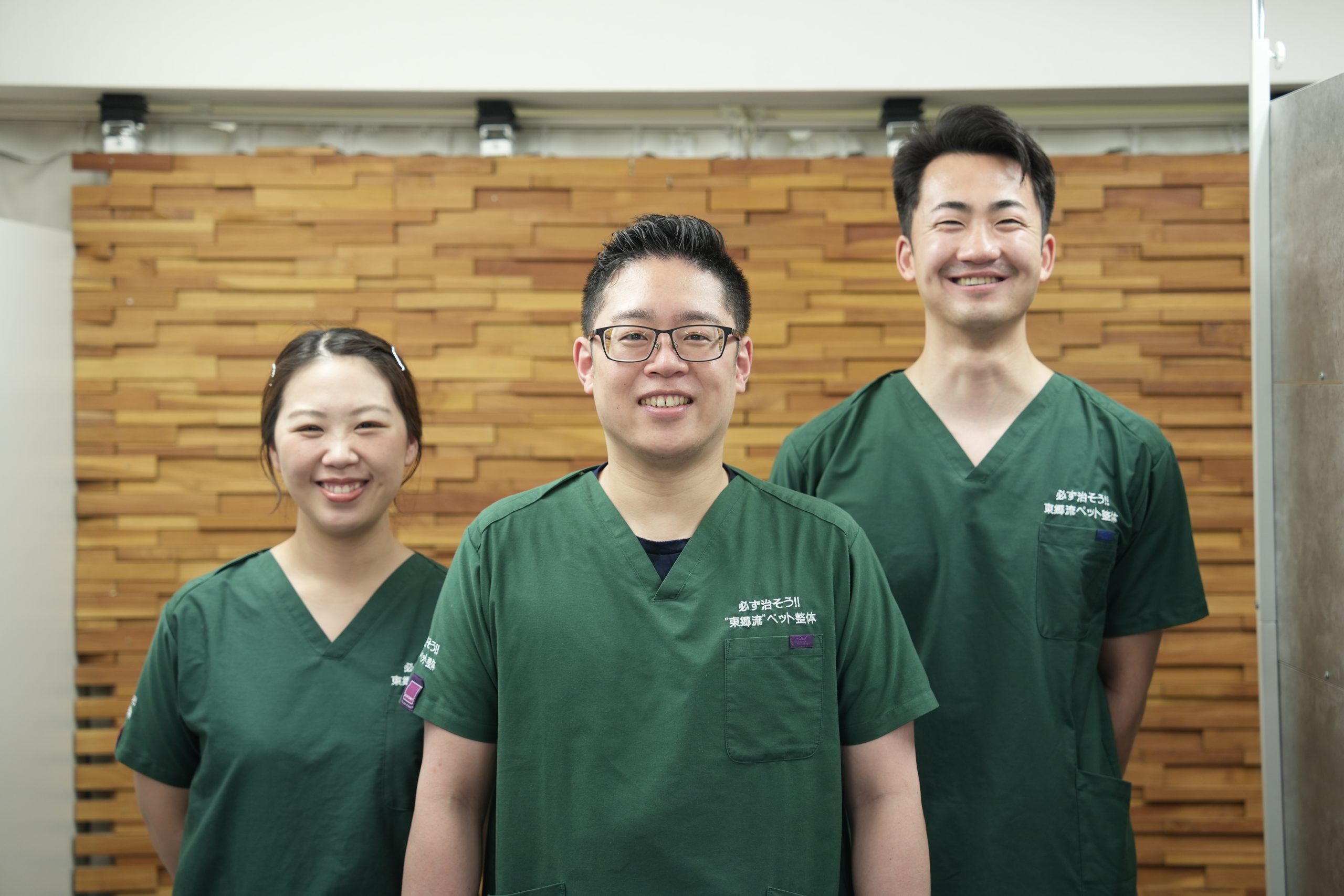 実例別メニュー | グリーンカイロプラクティック