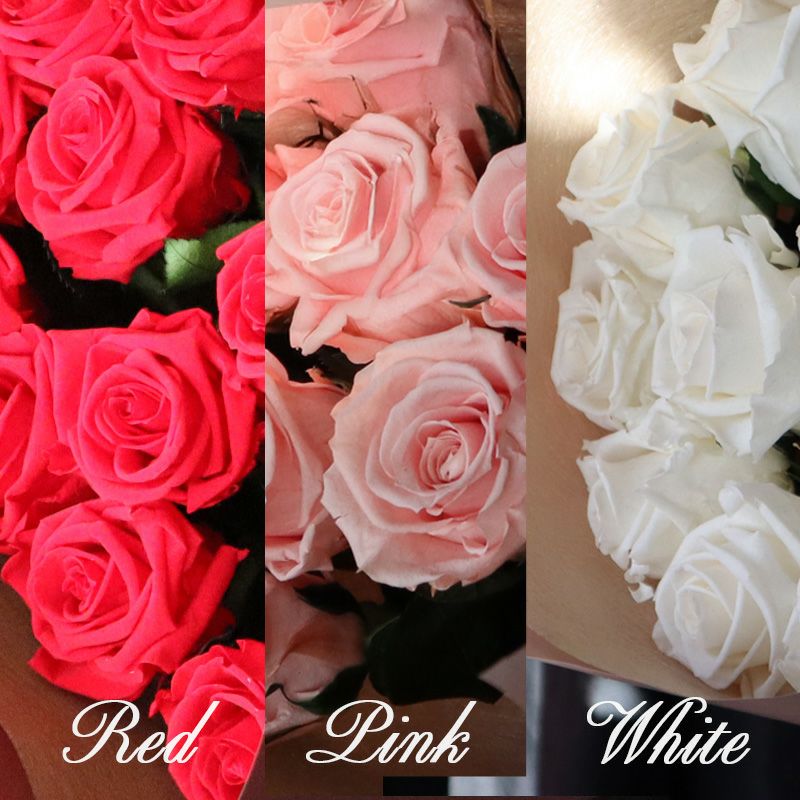 幸せのジンクス ダズンローズ | Red【茎もプリザーブド加工・バラの