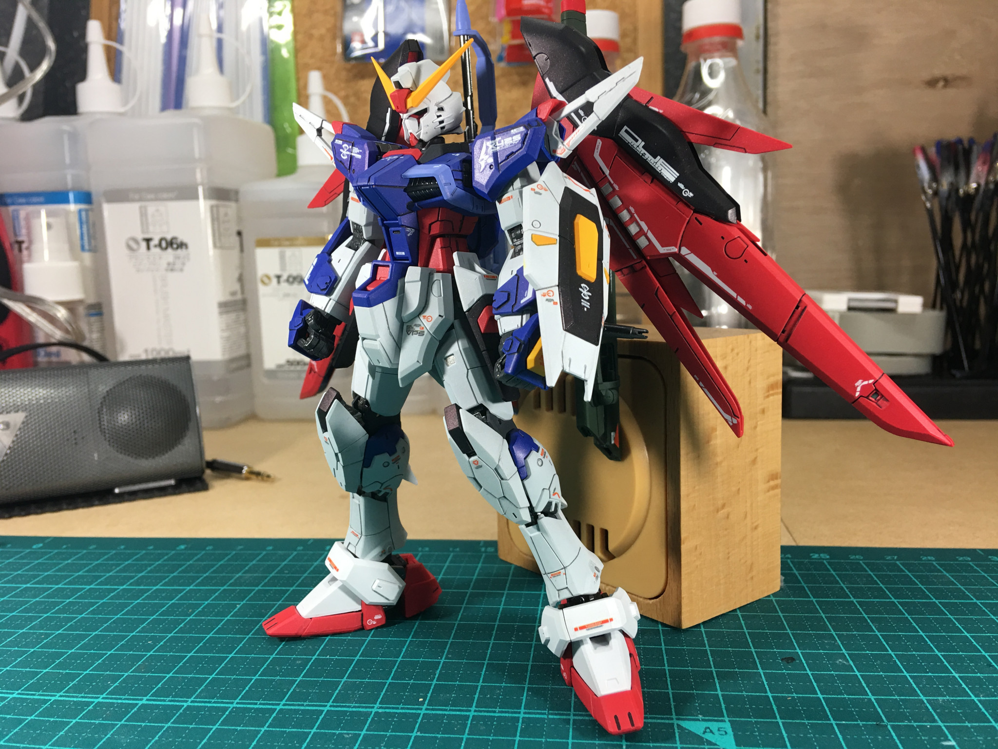 RG デスティニーガンダム 全塗装｜nimurodeさんのガンプラ作品