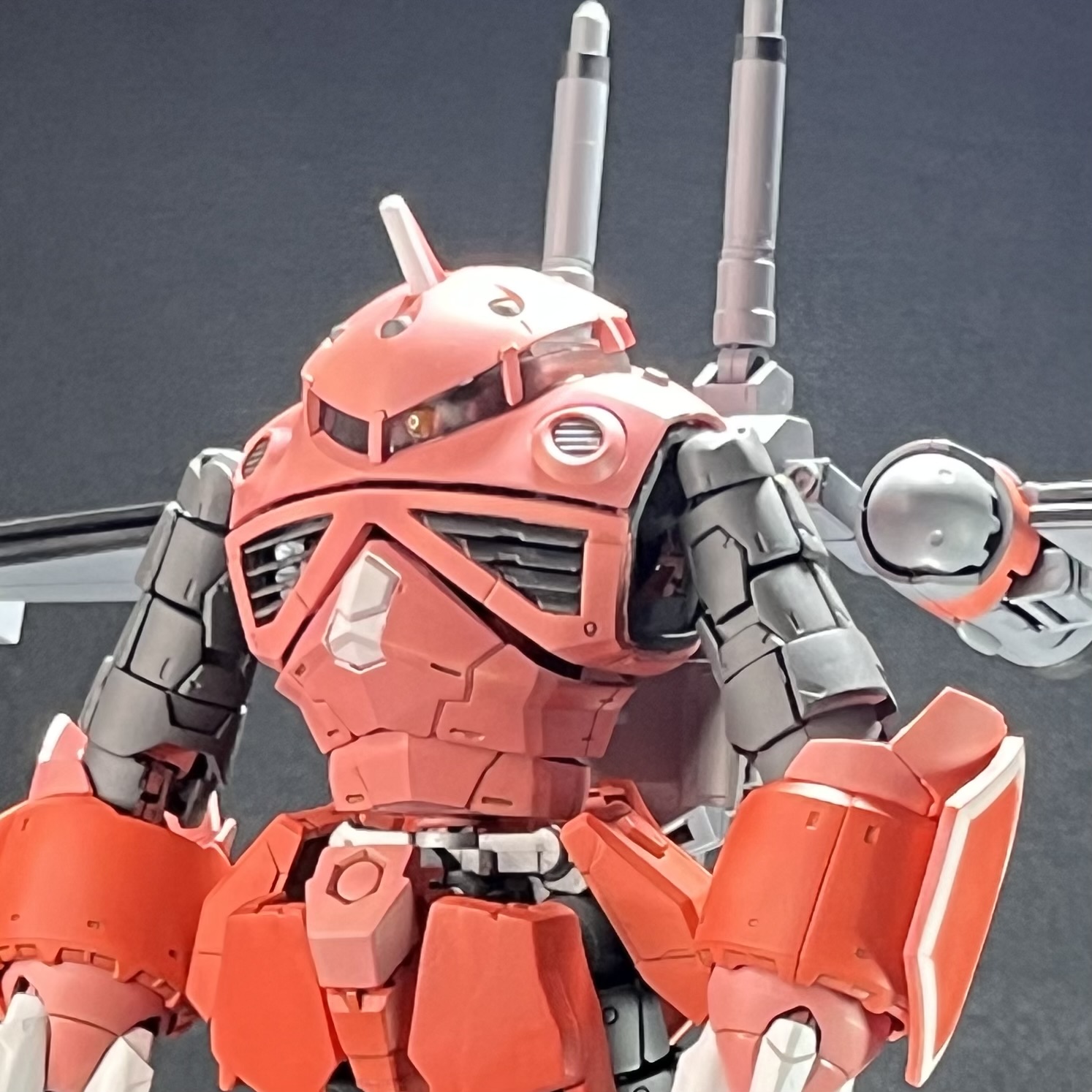 ズゴック(SEED FREEDOM版)｜あーるぐれいさんのガンプラ作品｜GUNSTA