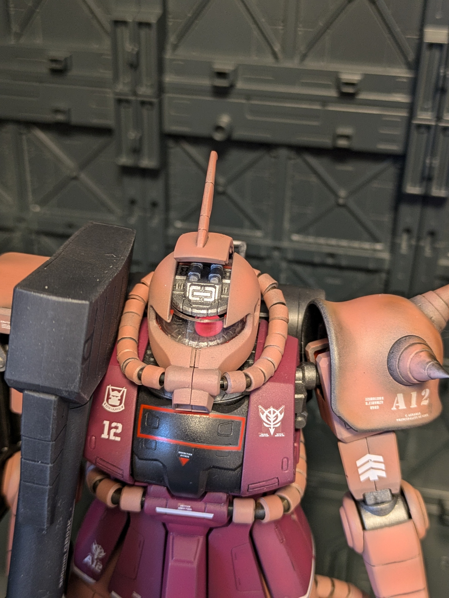 MS-06R-2 シャア専用ザク MG Ver.1.0｜SAYAKAFUさんのガンプラ作品