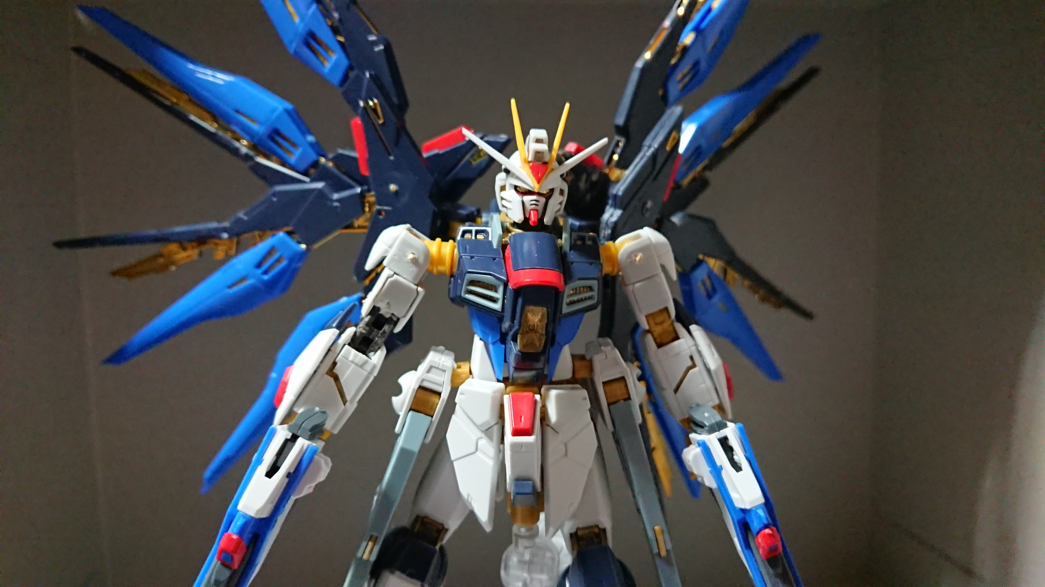 ジャンク品rgストライクフリーダム｜kaihaさんのガンプラ作品｜GUNSTA
