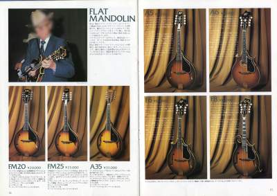 ブルーベル アコースティックギターカタログ 1976