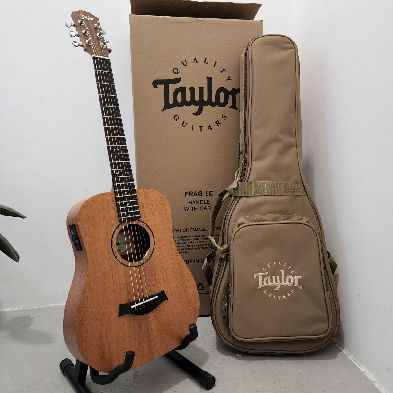 Taylor Baby Mahogany BT2-E 3/4 Dreadnought Acoustic Electric