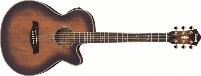 エレアコギター】IbanezよりAEG シリーズ 2013 年モデル発売