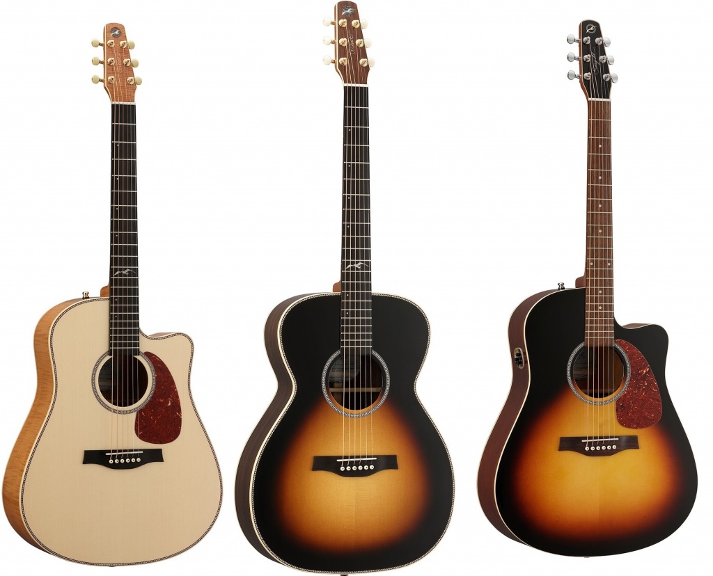 エレアコギター】Seagullよりバリエーション豊かなニューラインナップ