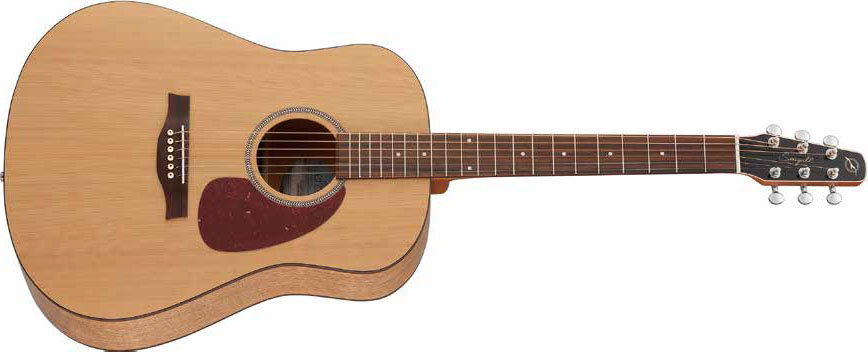 アコースティックギター・エレアコ】Seagullより、新製品続々登場