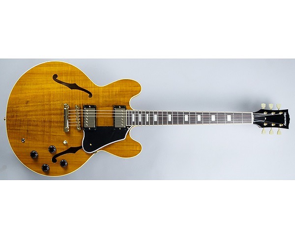 セミアコギター】-HISTORY-コア材の天然杢が美しい限定モデル！”SA