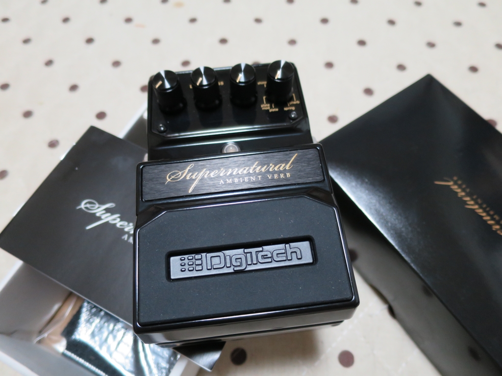 DIGITECH ( デジテック ) Supernatural Ambient Verb+アコギ | 酒井 誠