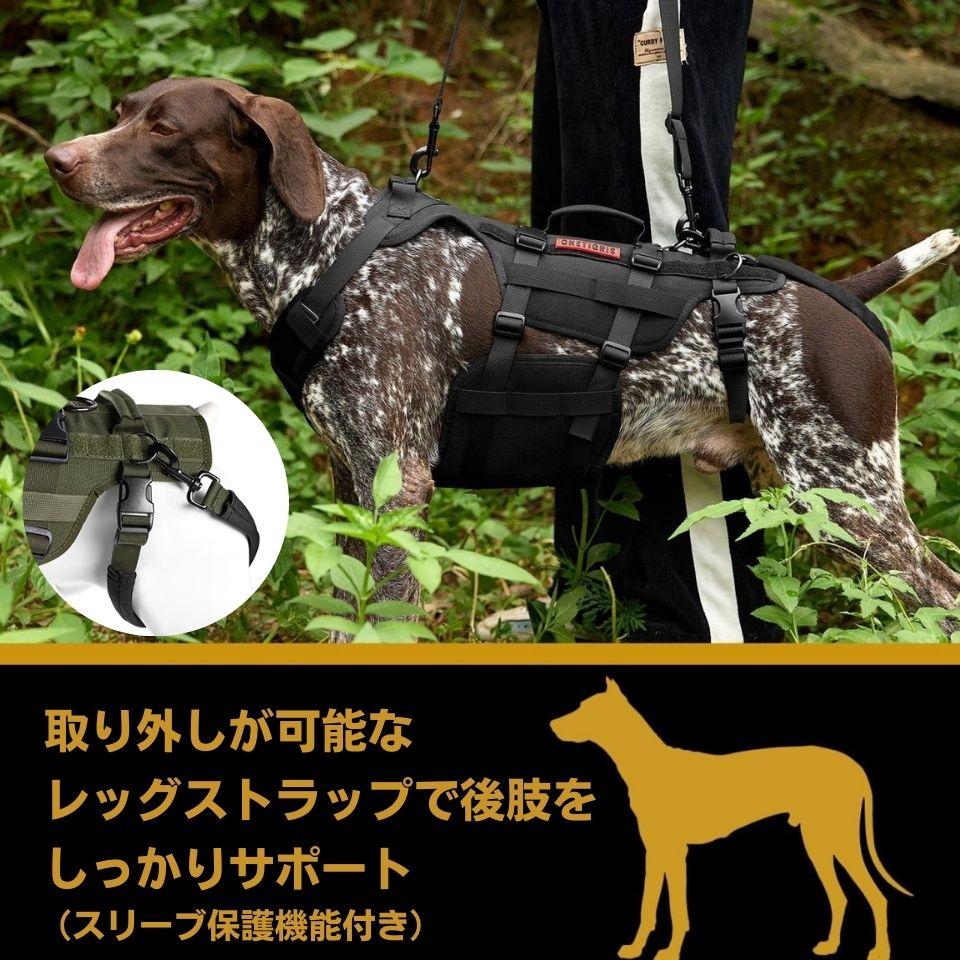 ONETIGRIS INVICTUS SUPPORTハーネス – Guppies