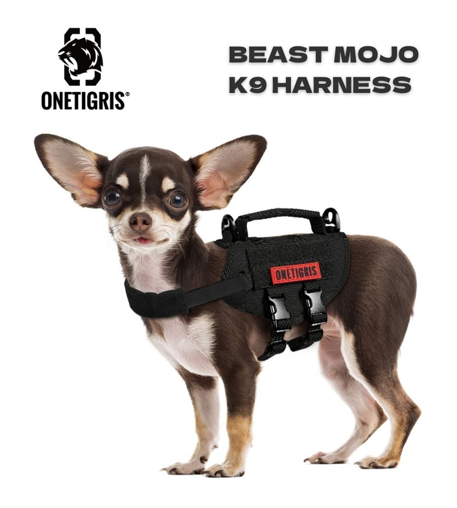 ハーネス・リード – tagged 