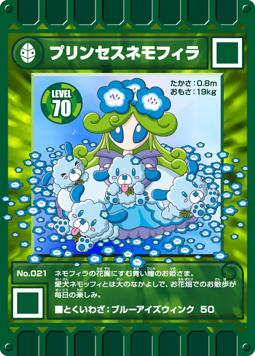 地域限定カード | カード迷路 ぐるり森 大冒険