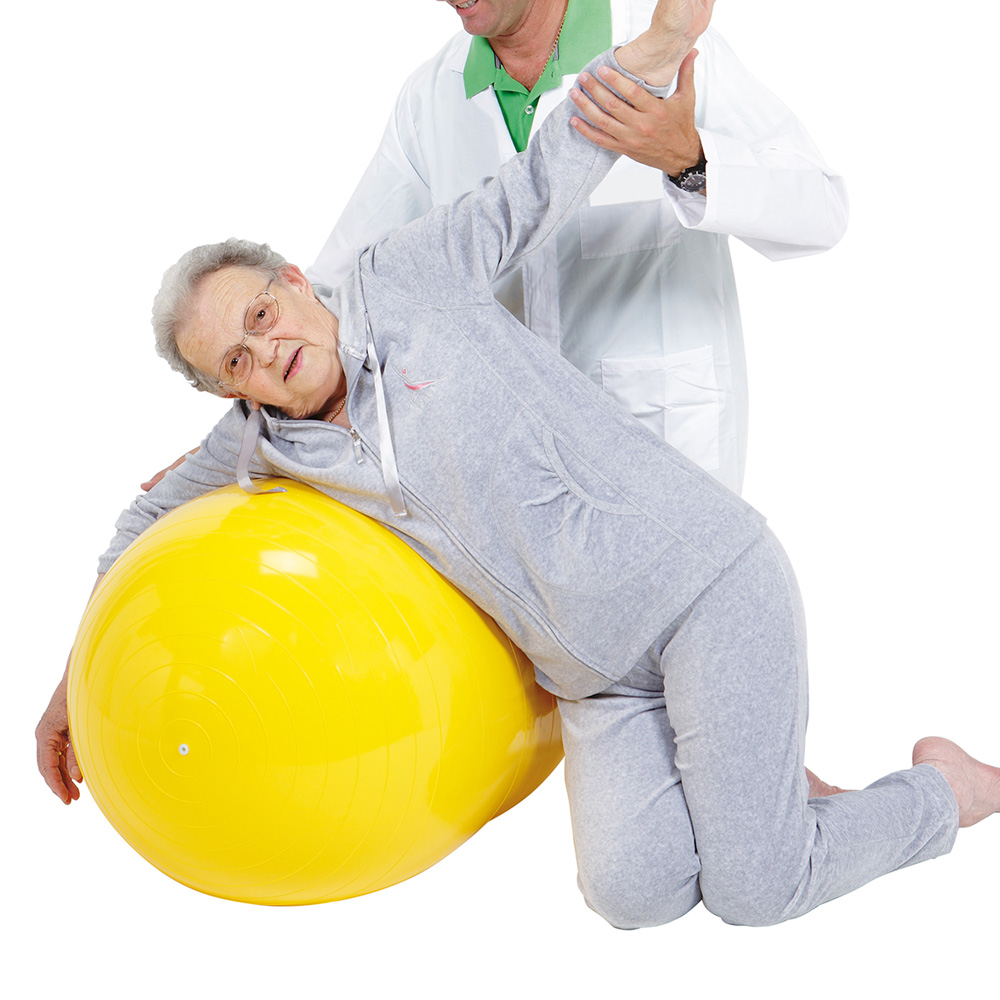 ギムニク｜ギムニクショップ公式サイト / GymnicPhysioRoll フィジオ