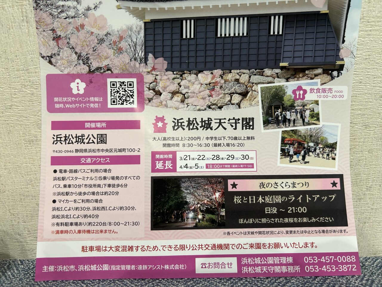 浜松市】浜松城公園でさくらまつりが2025年3月20日から4月6日に開催