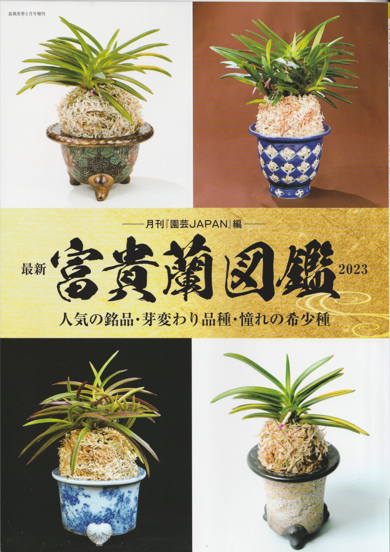 富貴蘭図鑑入荷いたしました - 東洋蘭専門店 花ごよみ | 春蘭・富貴蘭