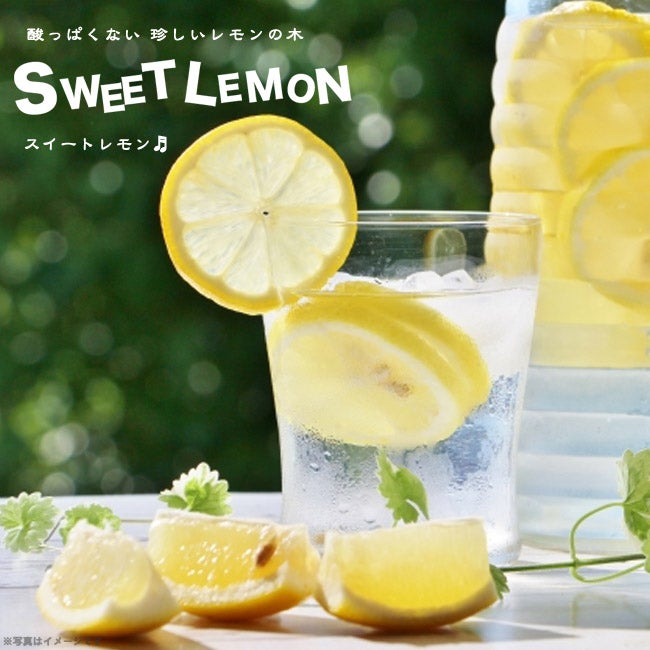 000000033231-01.jpg?size=l&w=