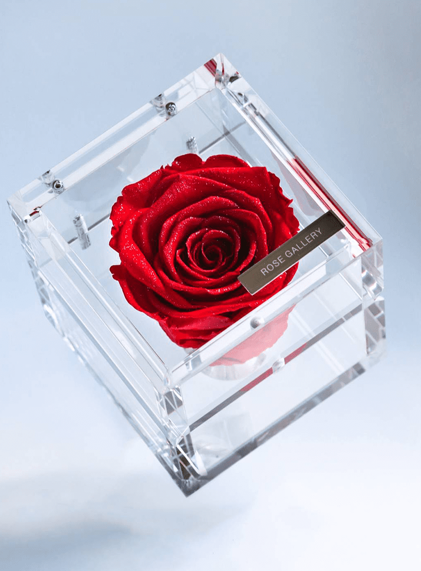 Timeless Rose | 花のギフト通販なら花百花 ‐hanahyakka‐