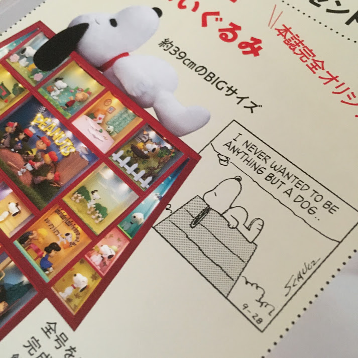 延長決定！コンパクトサイズのハウスがつくれる！デアゴスティーニ