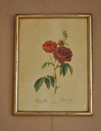 アンティークフレーム 天才画家、ピエール・ジョセフ・ルドゥーテ(m