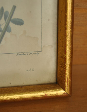 黄色いお花の植物画 アンティークのオシャレなフレーム(m-934-z