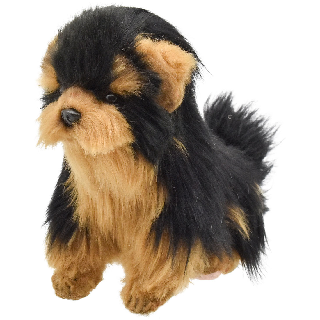 TC ヨークシャーテリア 16 | HANSA