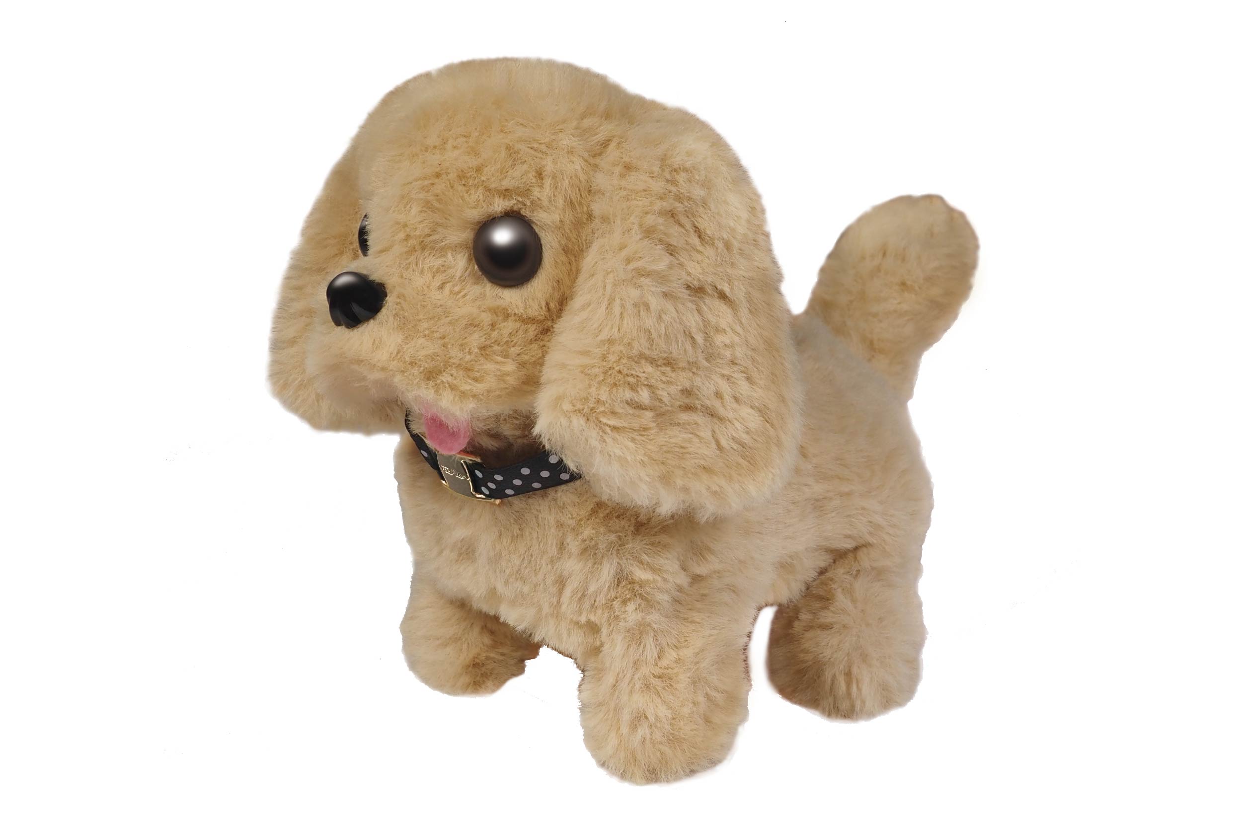 わんちゃんおせわセット | 株式会社ハック