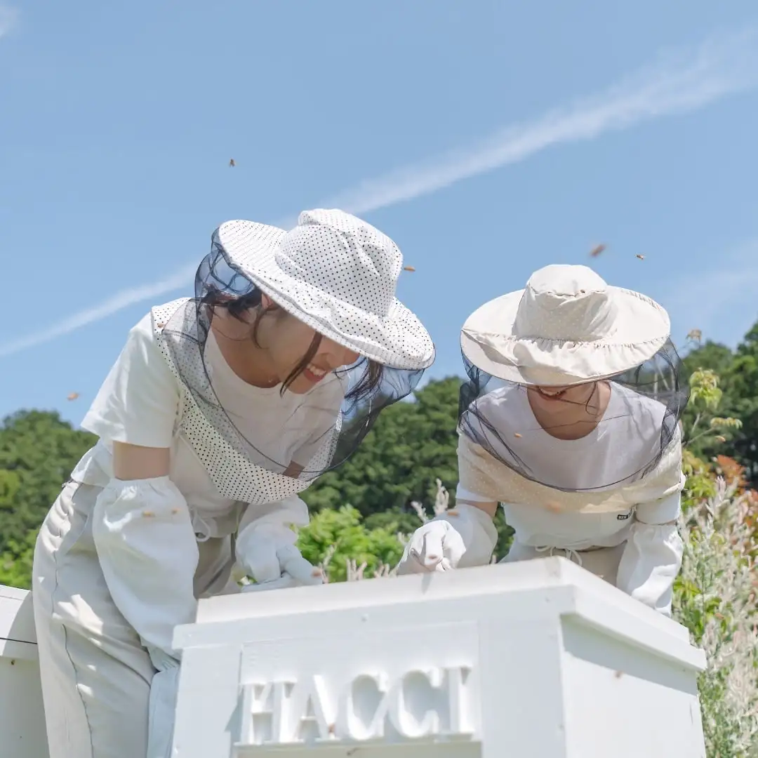 ミニダイヤモンドBOX テーブルハニー2本セット（オレンジ&ホワイト