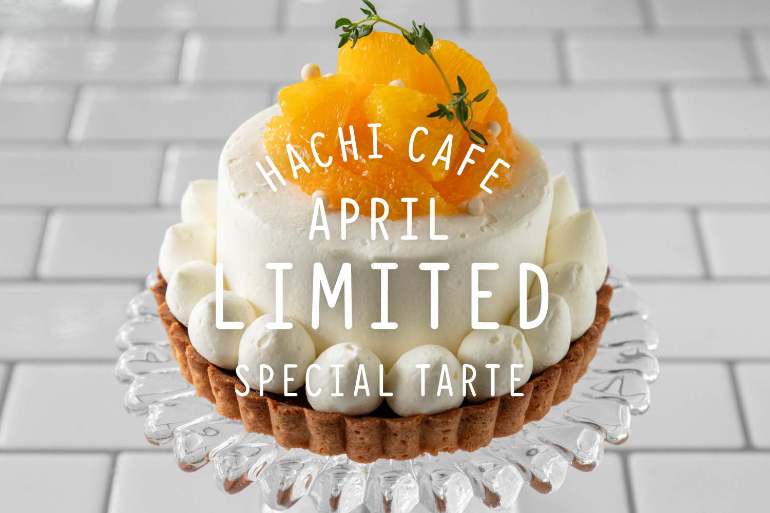 4月限定ホールタルト：オレンジのショートケーキタルトのご案内