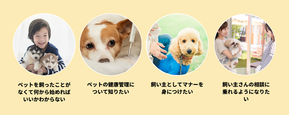愛犬しつけアドバイザー講座|通信教育講座で資格なら「ヒューマン